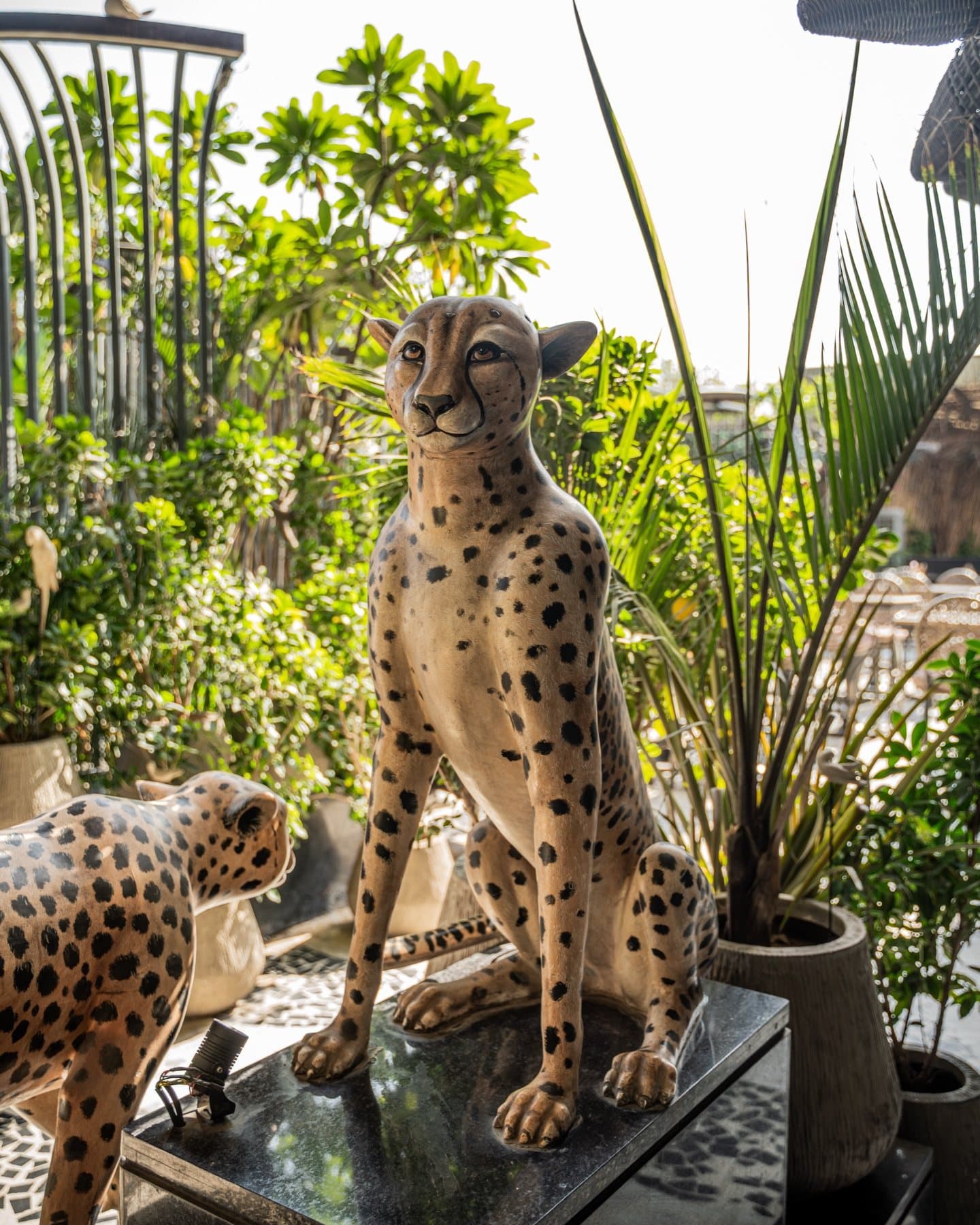 Life-size cheetah sculpture seated among agave plants